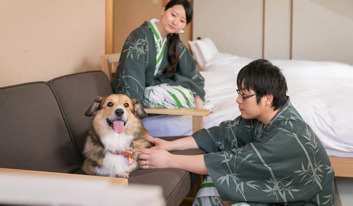 アピールポイント2